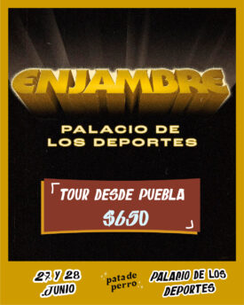 Enjambre - 27 y 28 de Junio - Palacio de los Deportes